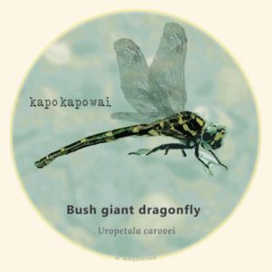 Dragonfly - Tote Bag Design