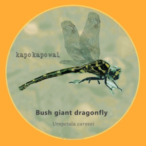 Dragonfly - Kid's Shirt Design