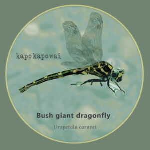 Dragonfly Crop Design